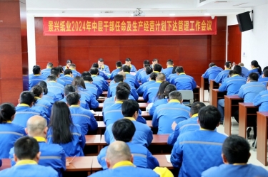 开拓创新 铿锵前行|新利体育召开2024年中层干部任命及生产经营计划下达管理工作会议