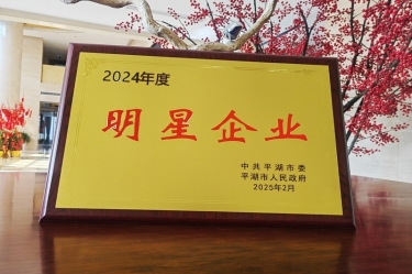 新春新景新气象 | 新利体育在平湖三干大会上喜摘荣誉！